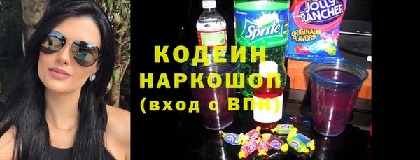 хмурый Краснослободск